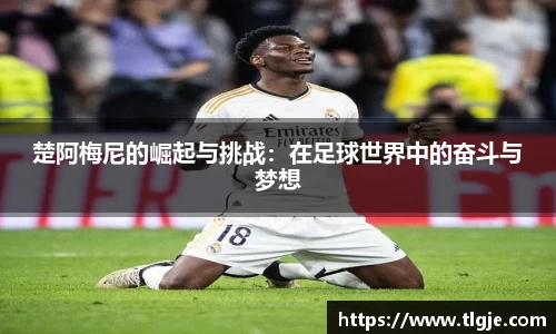 乐动LDSports官网