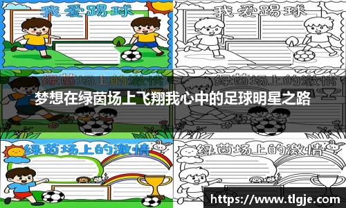 梦想在绿茵场上飞翔我心中的足球明星之路