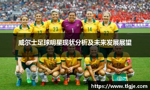 威尔士足球明星现状分析及未来发展展望